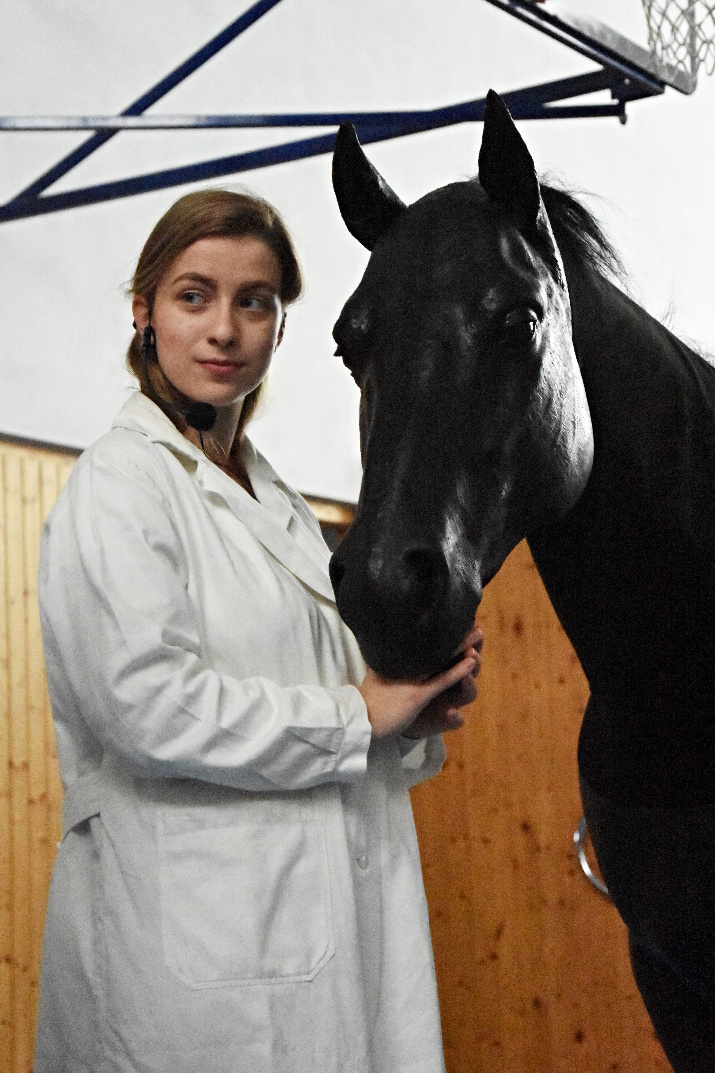 Jako živý! Milionový kůň pomáhá budoucím veterinářům