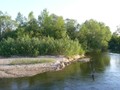 Řeka Orlice