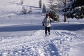 Běžecké lyžování v Krkonoších a Podkrkonoší